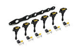 Haltech HT-120202 R35 Coil Bracket for Nissan RB20/25/26 includes bracket coils and connectors