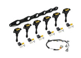 Haltech HT-120203 R35 Coil Bracket for Nissan RB20/25/26 includes bracket coils, connectors and harness