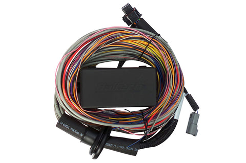 Haltech HT-140604 Elite 550 / 750 Premium Universal Wire-in Harness 2.5m (8) Length: 2.5m (8)