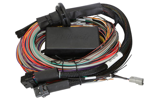 Haltech HT-141306 Elite 1500, 2500 & 2500 T Premium Universal Wire-in Harness  Length: 3m (9.8) Length: 3M (9.8)