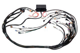 Haltech HT-141360 Elite 2000/2500 GM GEN III LS1 non DBW Term Harness Only EV1