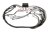 Haltech HT-141360 Elite 2000/2500 GM GEN III LS1 non DBW Term Harness Only EV1 (4)