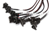 Haltech HT-141376 Elite 2500/2500 T V8  GM, Ford & Chrysler Term Harn Only EV1 (3)