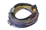Haltech HT-150602 Elite 750 + Basic Universal Wire-in Harness Kit 2.5m (8) Length: 2.5m (8) (5)