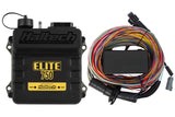 Haltech HT-150604 Elite 750 + Premium Universal Wire-in Harness Kit 2.5m (8) Length: 2.5m (8)
