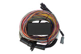Haltech HT-150604 Elite 750 + Premium Universal Wire-in Harness Kit 2.5m (8) Length: 2.5m (8) (5)