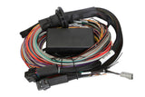 Haltech HT-150904 Elite 1500 + Premium Uni Wire-in Harness Kit 2.5m (8) Length: 2.5m (8) (5)