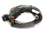 Haltech HT-151302 Elite 2500 + Basic Universal Wire-in Harness Kit 2.5m (8) Length: 2.5m (8) (2)