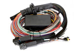 Haltech HT-151304 Elite 2500 + Premium Uni Wire-in Harness Kit 2.5m (8) Length: 2.5m (8) (2)