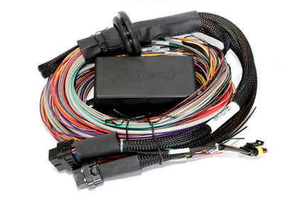 Haltech HT-151304 Elite 2500 + Premium Uni Wire-in Harness Kit 2.5m (8) Length: 2.5m (8) (2)