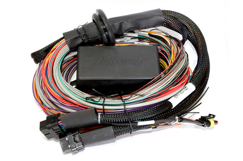 Haltech HT-151304 Elite 2500 + Premium Uni Wire-in Harness Kit 2.5m (8) Length: 2.5m (8) (2)