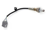 Haltech HT-159978 WB1 NTK - Single Channel CAN O2 Wideband Controller Kit Length: 1.2M (4ft) (3)