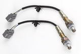 Haltech HT-159988 WB2 NTK - Dual Channel CAN O2 Wideband Controller Kit Length: 1.2M (4ft) (3)
