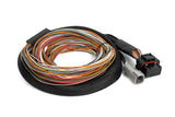 Haltech HT-180000 IO16 Universal Wire in harness 2.6M (8.5) (2)