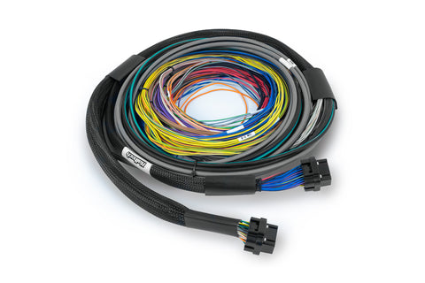 Haltech HT-182200 Nexus S3 / S2 Universal Wire-In Harness - 2.5m(8)