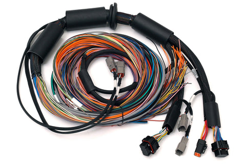 Haltech HT-183200 Nexus R3  Universal Wire-in Harness - 2.5m (8) Length: 2.5M