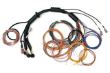 Haltech HT-183200 Nexus R3  Universal Wire-in Harness - 2.5m (8) Length: 2.5M (2)