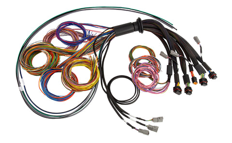 Haltech HT-185200 Nexus R5 Universal Wire-In harness - 2.5M (8) Length: 2.5M