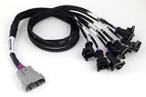 Haltech HT-186000 Nexus Universal V8 - Junior Timer (EV1) Injector Primary Breakout