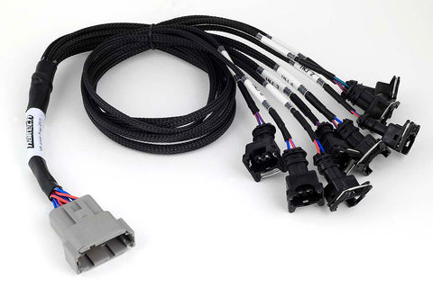 Haltech HT-186000 Nexus Universal V8 - Junior Timer (EV1) Injector Primary Breakout