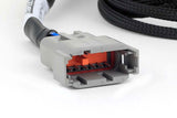 Haltech HT-186000 Nexus Universal V8 - Junior Timer (EV1) Injector Primary Breakout (2)