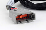 Haltech HT-186002 Nexus V8 GT150 (USCAR) Injector Primary Breakout (2)