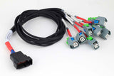 Haltech HT-186003 Nexus Universal V8 - GT150 (USCAR) Injector Secondary Breakout