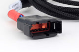 Haltech HT-186003 Nexus Universal V8 - GT150 (USCAR) Injector Secondary Breakout (2)