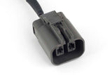 Haltech HT-186125 Nexus Rebel LS 2 Pin Yazaki Alternator Harness Length: 200mm (2)