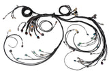 Haltech HT-186205 Nexus R5 LSx DBW Terminated Harness