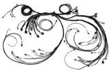 Haltech HT-186206 Nexus R5 LSx Non DBW Terminated Harness