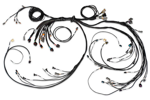 Haltech HT-186206 Nexus R5 LSx Non DBW Terminated Harness