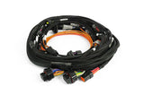 Haltech HT-186400 Nexus Rebel JZ - Main Terminated Harness (2)