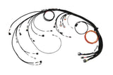 Haltech HT-186400 Nexus Rebel JZ - Main Terminated Harness (3)