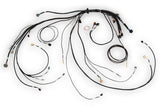 Haltech HT-186500 Nexus Rebel LS Main Terminated Harness