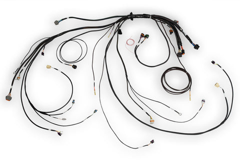 Haltech HT-186500 Nexus Rebel LS Main Terminated Harness