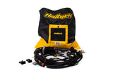 Haltech HT-186500 Nexus Rebel LS Main Terminated Harness (2)