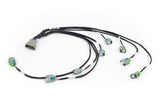 Haltech HT-186502 Nexus Rebel LS - LS EV6 Injector Sub-Harness (2)