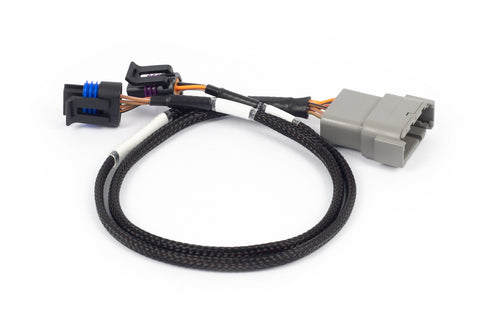 Haltech HT-186504 Nexus Rebel LS - Cable Throttle + IAC sub-harness
