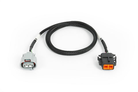 Haltech HT-187005 Nexus Rebel JZ - R154 Transmission Harness
