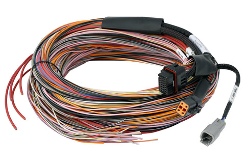 Haltech HT-188000 PD16 Wire-in harness - 5M / 16FT Length: 5M / 16FT