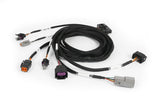 Haltech HT-189003 Nexus Plug-in DBW Expansion Harness 2.5m (8)