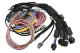 Haltech HT-195200 Nexus R5 + Universal Wire-in Harness Kit - 2.5M (8) Length: 2.5m (8) (2)