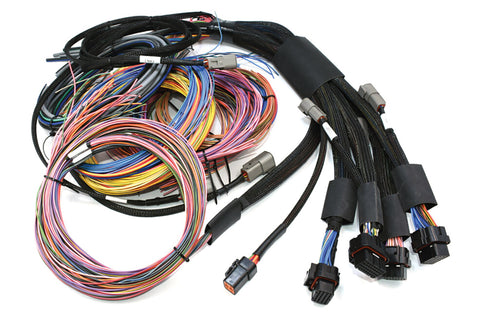 Haltech HT-195201 Nexus R5 + Universal Wire-in Harness Kit - 5M (16) Length: 5m (16) (2)