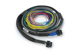 Haltech HT-212200 Nexus S2 ECU + Universal Wire-in Harness - 2.5m (8) (3)