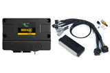 Haltech HT-213301 Nexus S3 Plug n Play Adapter Harness Kit - Honda DC5