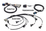 Haltech HT-220201 Rebel LS Kit - Suits Gen III - Cable throttle, EV1, Manual Transmission (2)