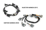 Haltech HT-220205 Nexus Rebel JZ - Suits Toyota JZ (2)